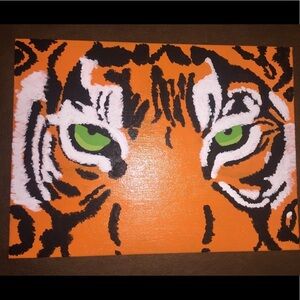 Tiger eyes picture